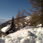 Blick aus dem Stubenfenster