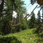 Den Seilpark erreichen Sie von unserem Chalet aus in 10 Minuten zu Fuss.
