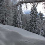 Blick aus dem Küchenfenster rüber zum Wald (vom schneereichen Winter 2012/2013)