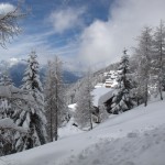 Bilder vom schneereichen Winter 2012/2013